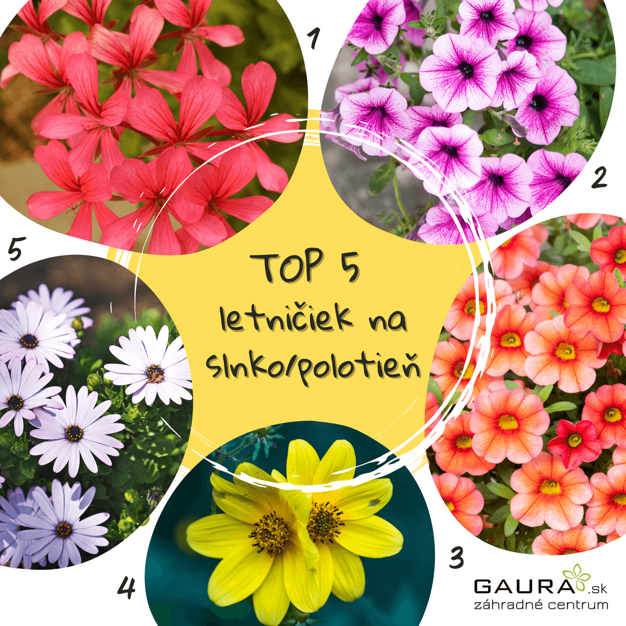 7 cenných rád, aby sa letničkám darilo 7 - Gaura Zahradné centrum Trečín 7 cennych rad aby sa letnickam darilo Zahradne centrum GAURA Trencin 6 - Gaura Zahradné centrum Trečín