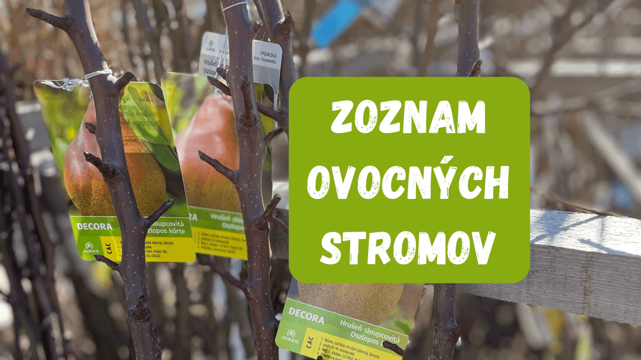 Zoznam ovocných stromov – jar 2023 Zoznam ovocných stromov - jar 2023