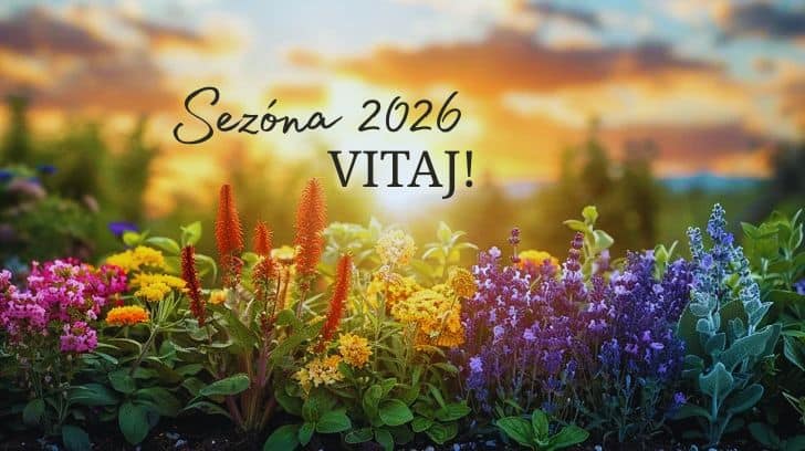 Sezóna 2026 (1)