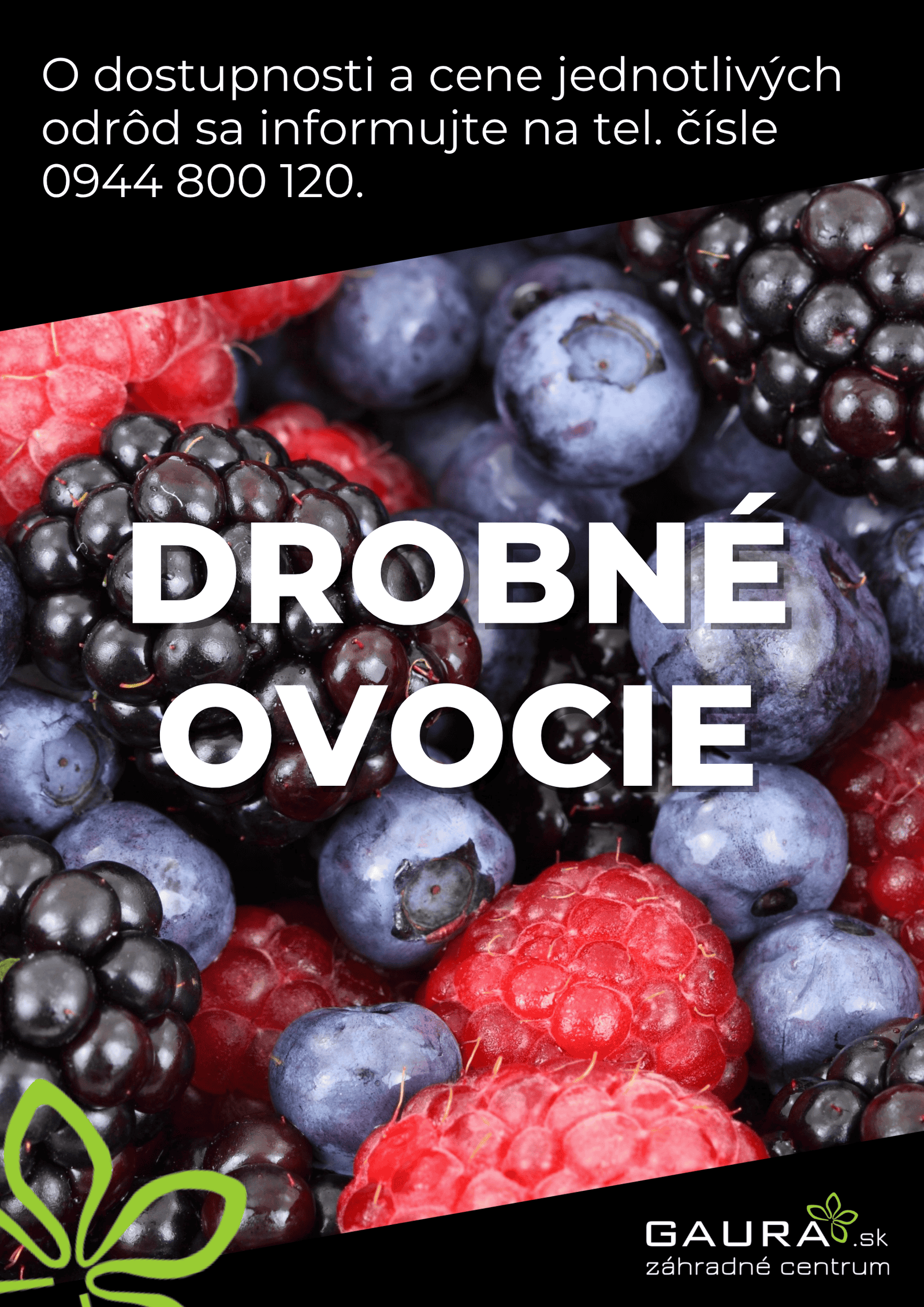Drobné ovocie v GAURE! 2 - Gaura Zahradné centrum Trečín 1 - Gaura Zahradné centrum Trečín