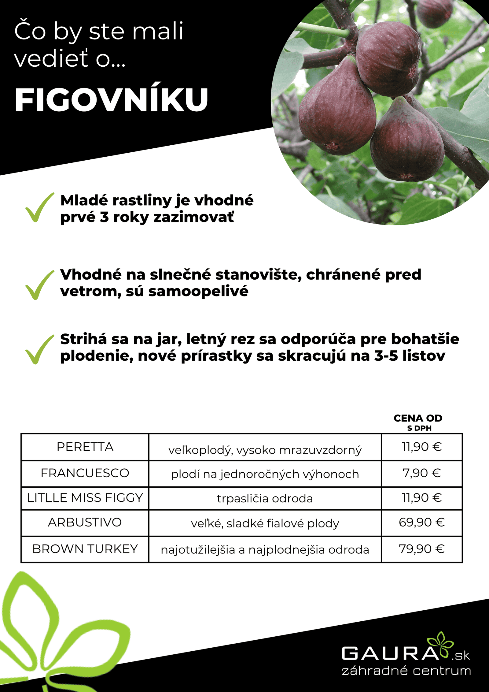 Drobné ovocie v GAURE! 12 - Gaura Zahradné centrum Trečín 11 - Gaura Zahradné centrum Trečín