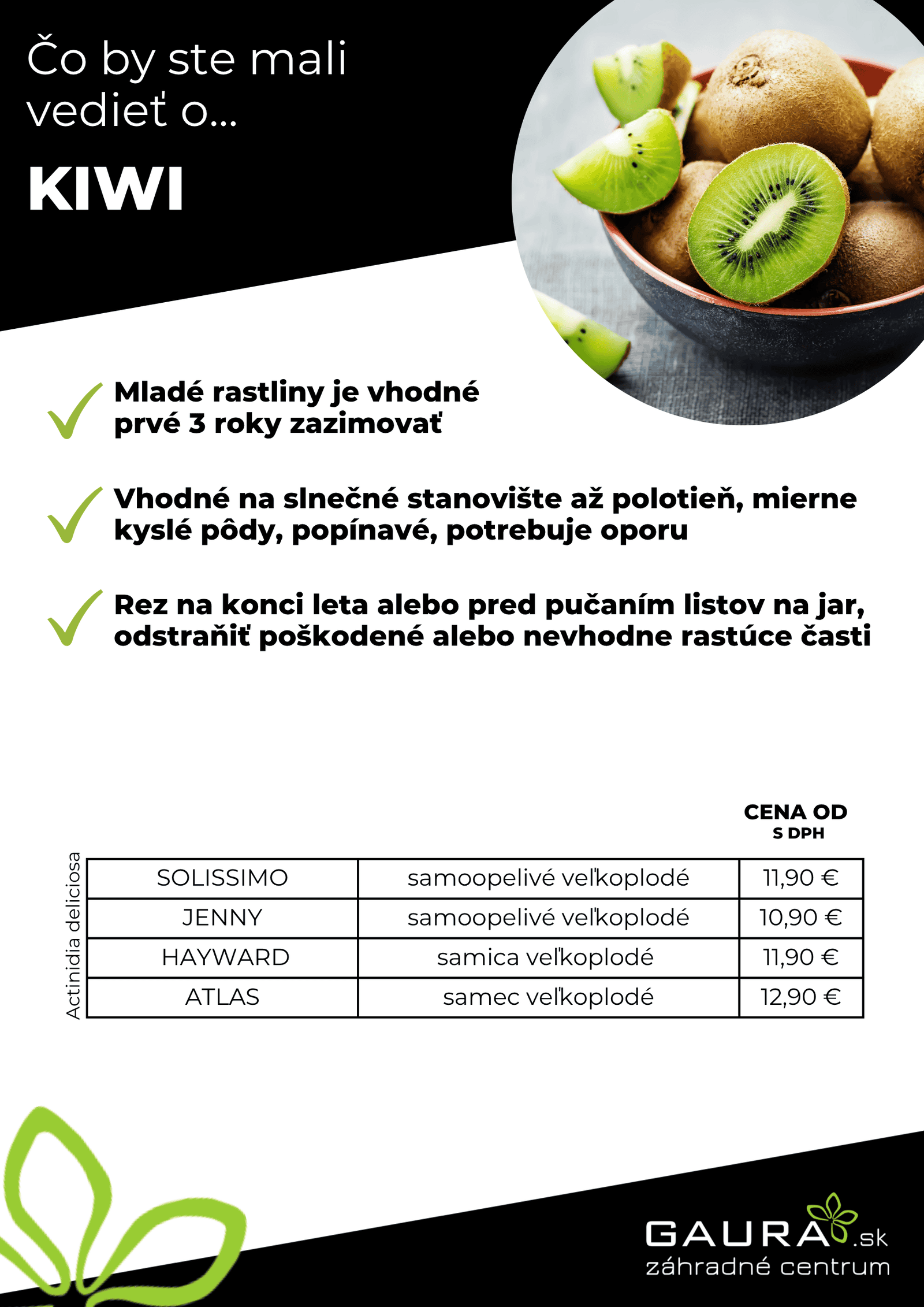 Drobné ovocie v GAURE! 14 - Gaura Zahradné centrum Trečín 13 - Gaura Zahradné centrum Trečín