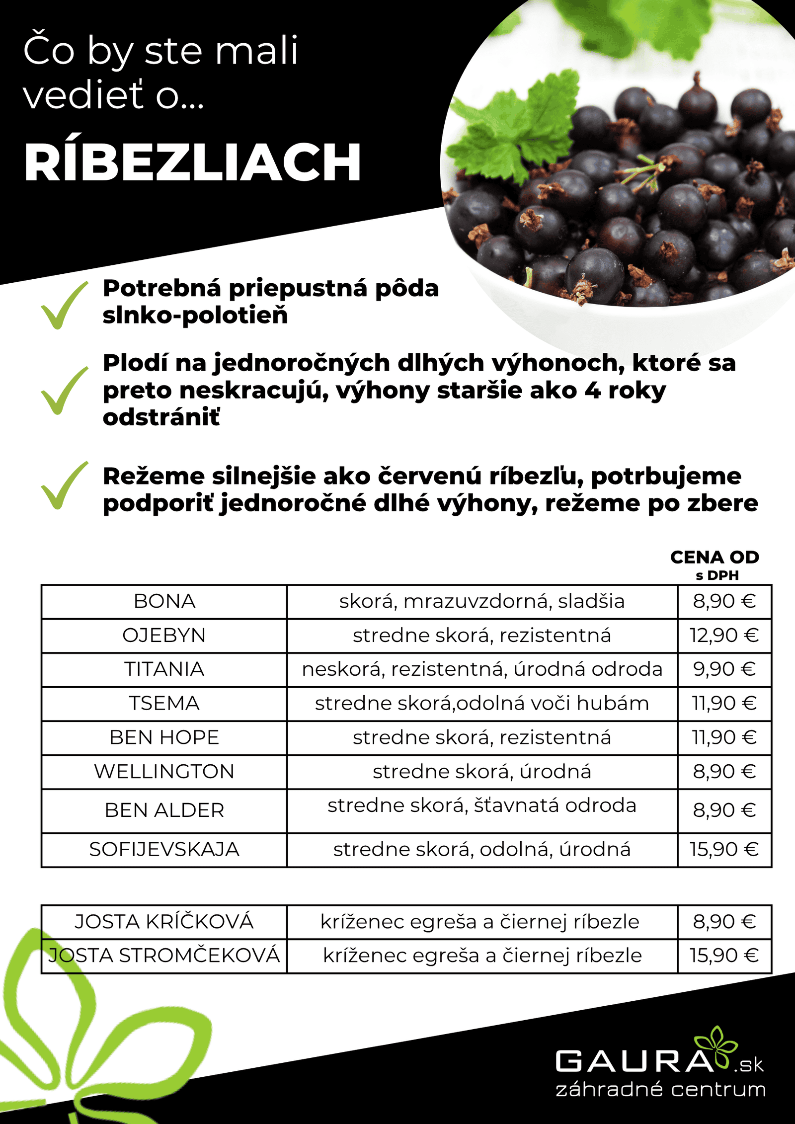 Drobné ovocie v GAURE! 20 - Gaura Zahradné centrum Trečín 19 - Gaura Zahradné centrum Trečín