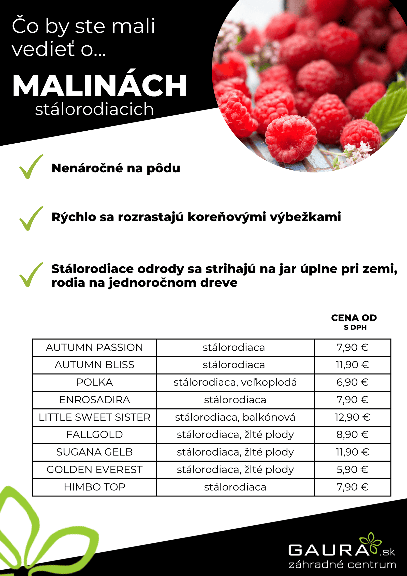 Drobné ovocie v GAURE! 3 - Gaura Zahradné centrum Trečín 2 - Gaura Zahradné centrum Trečín