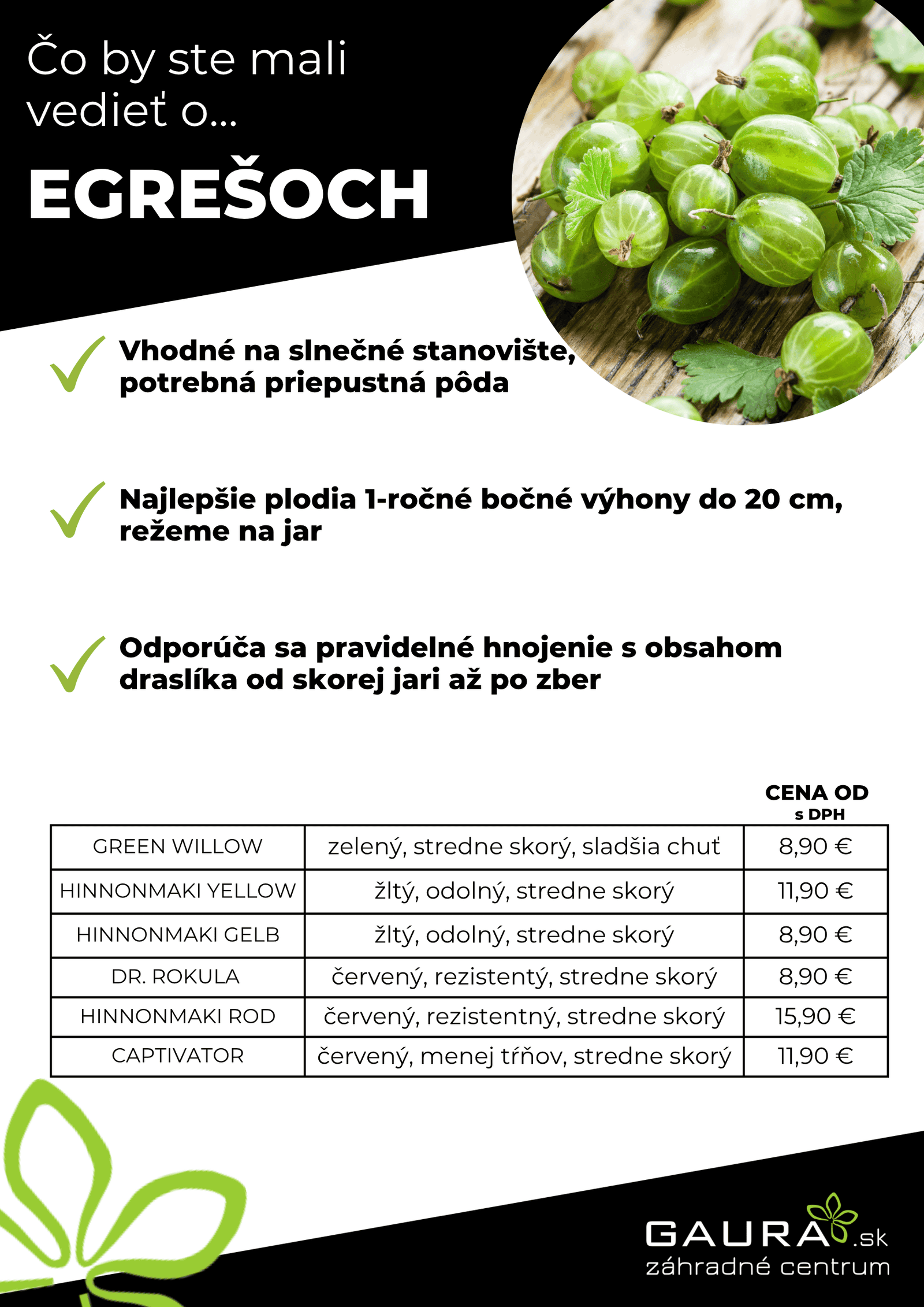 Drobné ovocie v GAURE! 21 - Gaura Zahradné centrum Trečín 20 - Gaura Zahradné centrum Trečín