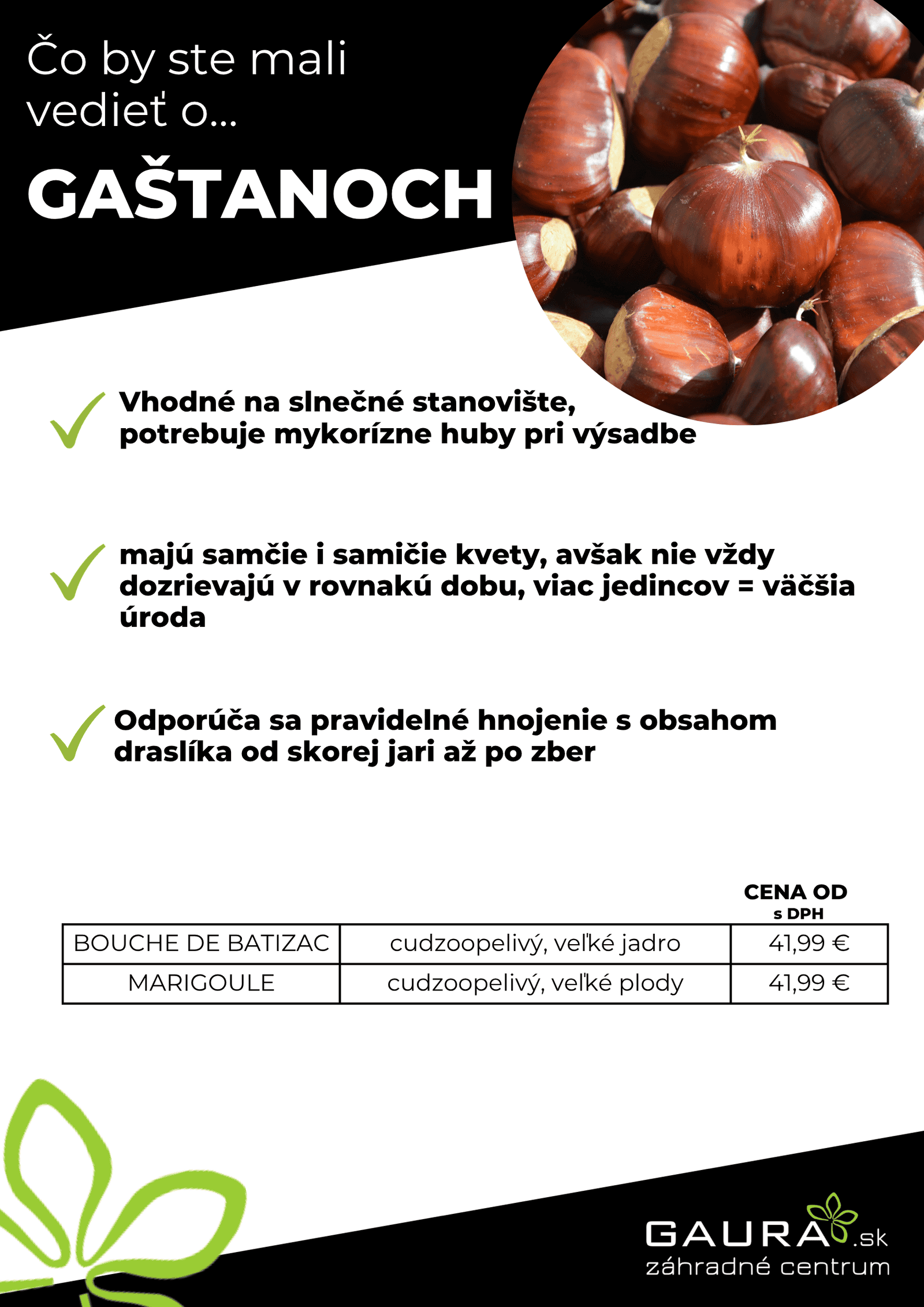 Drobné ovocie v GAURE! 25 - Gaura Zahradné centrum Trečín 24 - Gaura Zahradné centrum Trečín