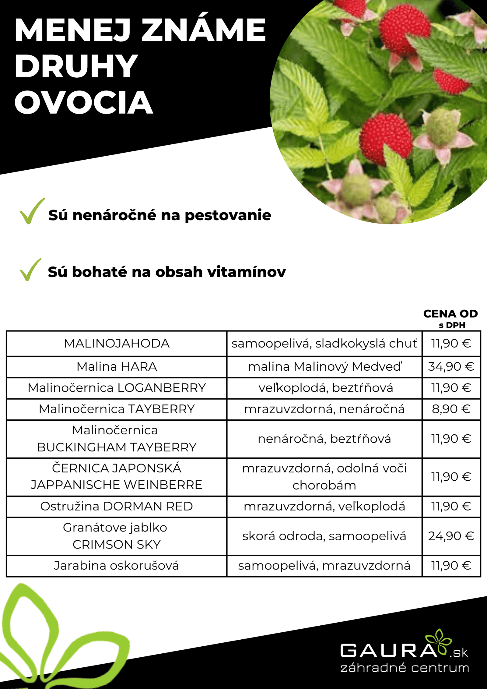 Drobné ovocie v GAURE! 26 - Gaura Zahradné centrum Trečín 25 - Gaura Zahradné centrum Trečín