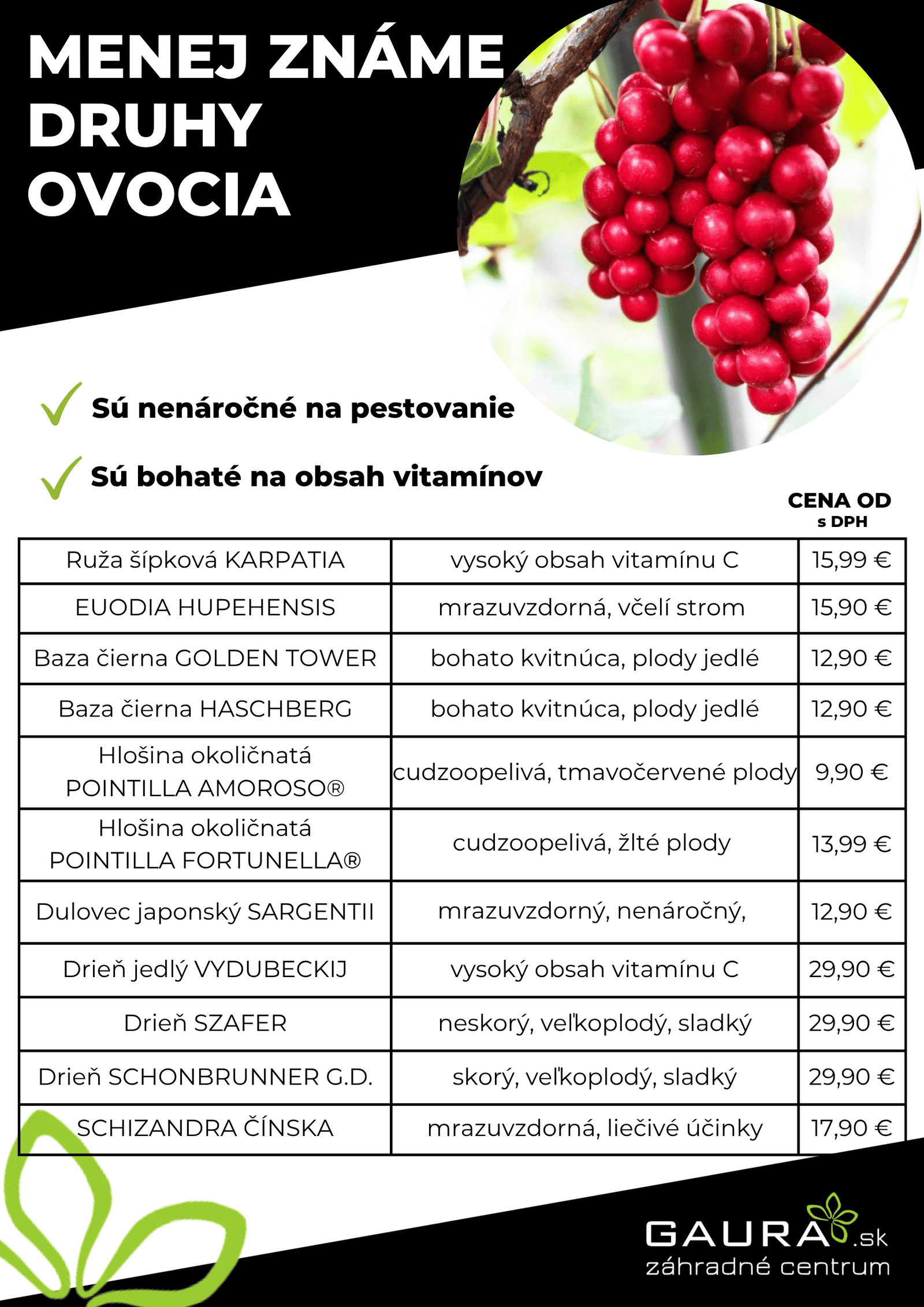 Drobné ovocie v GAURE! 27 - Gaura Zahradné centrum Trečín 26 - Gaura Zahradné centrum Trečín