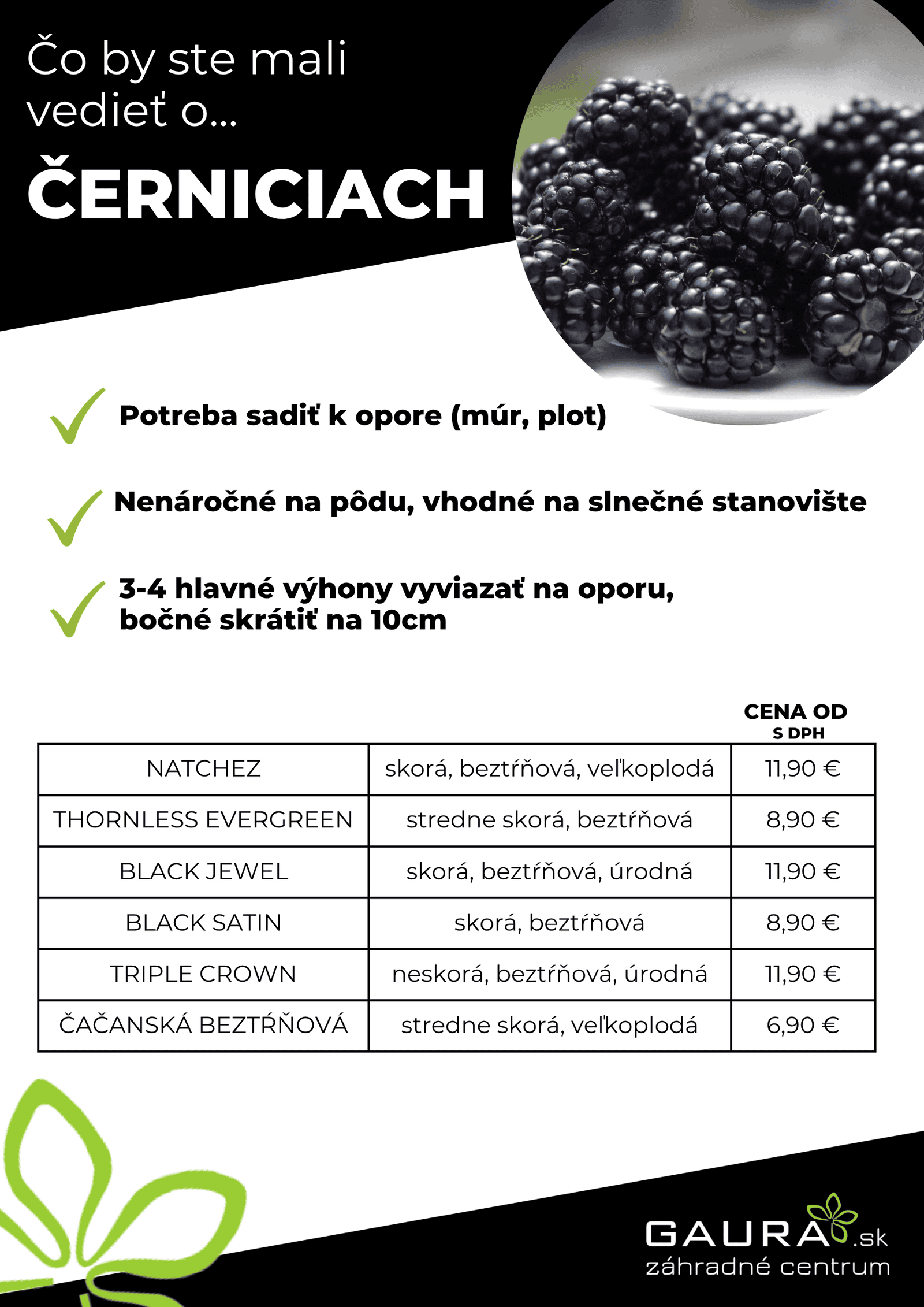Drobné ovocie v GAURE! 5 - Gaura Zahradné centrum Trečín 4 - Gaura Zahradné centrum Trečín