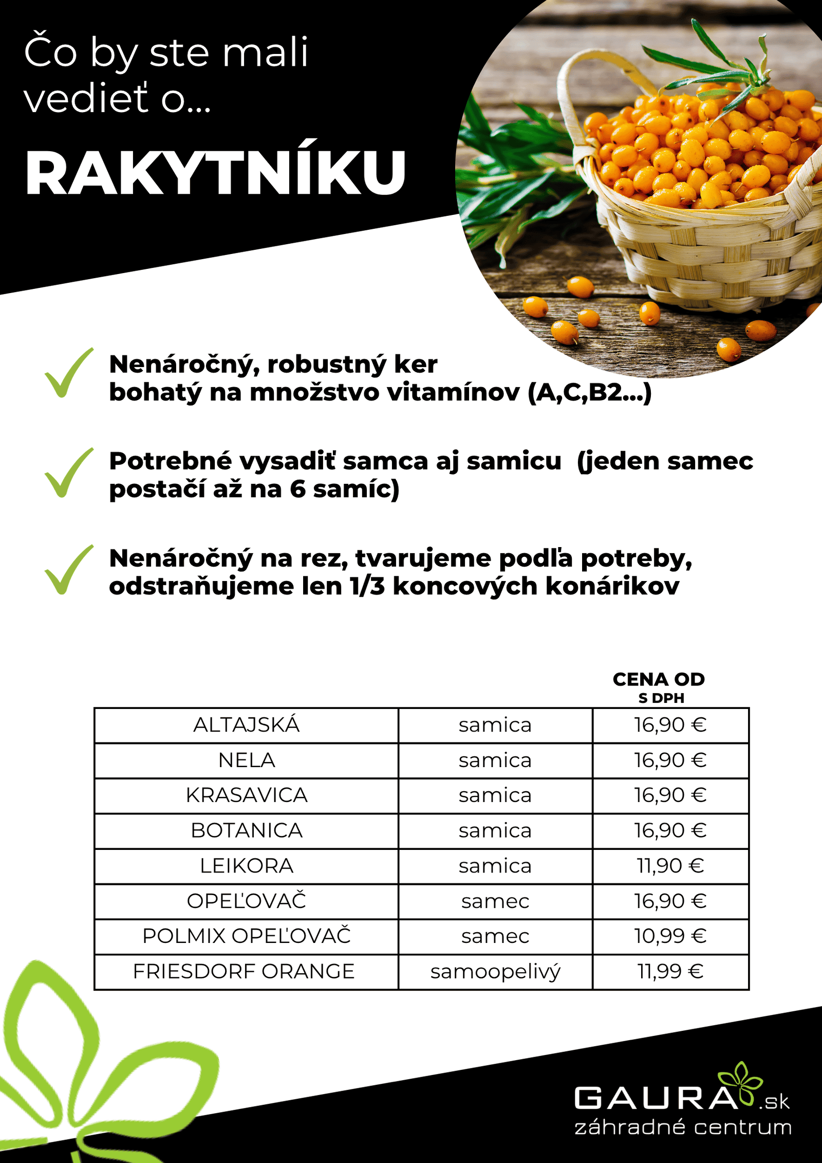 Drobné ovocie v GAURE! 10 - Gaura Zahradné centrum Trečín 9 - Gaura Zahradné centrum Trečín